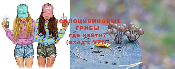 крисы Сатка