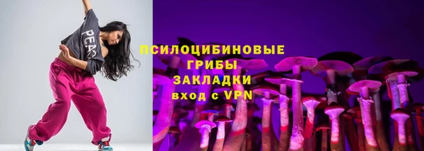 крисы Абаза