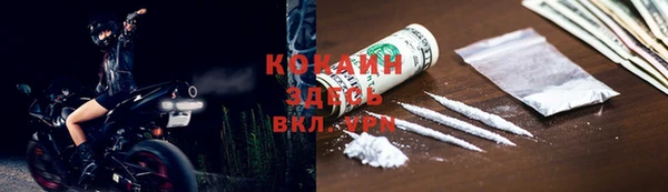 прущие грибы Саяногорск