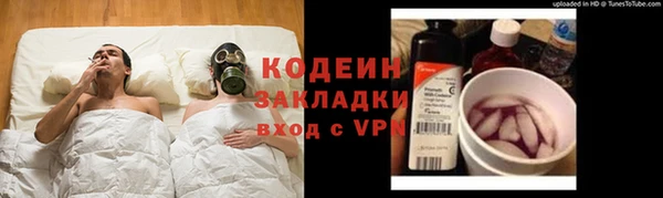 крисы Абаза