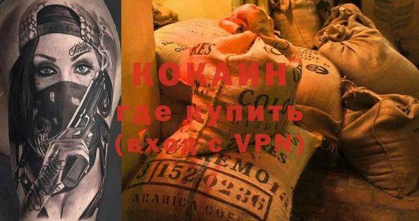 прущие грибы Саяногорск