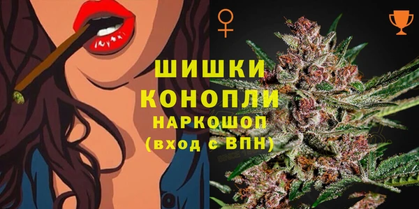 крисы Сатка