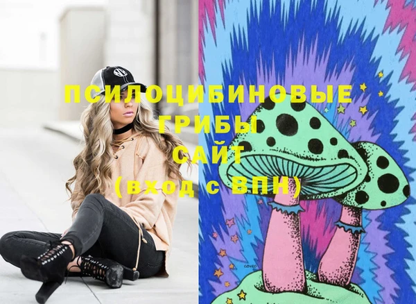 крисы Абаза