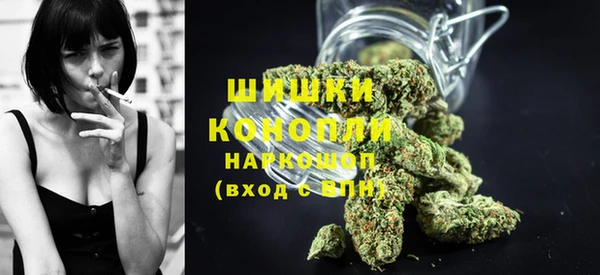 крисы Абаза