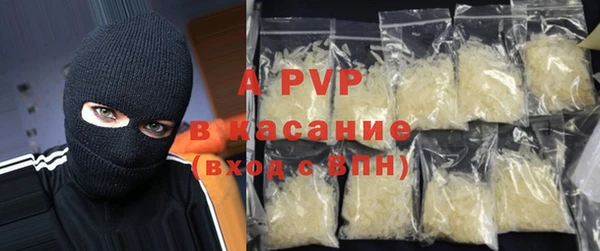 крисы Сатка