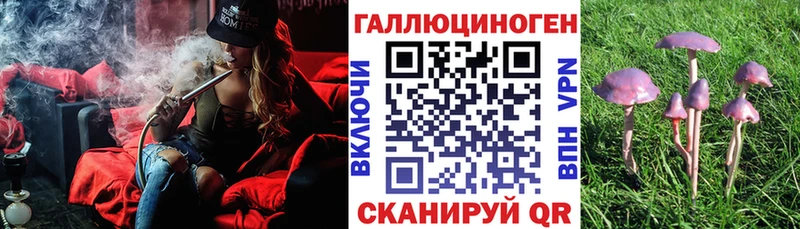 купить наркоту  Енисейск  Псилоцибиновые грибы Magic Shrooms 
